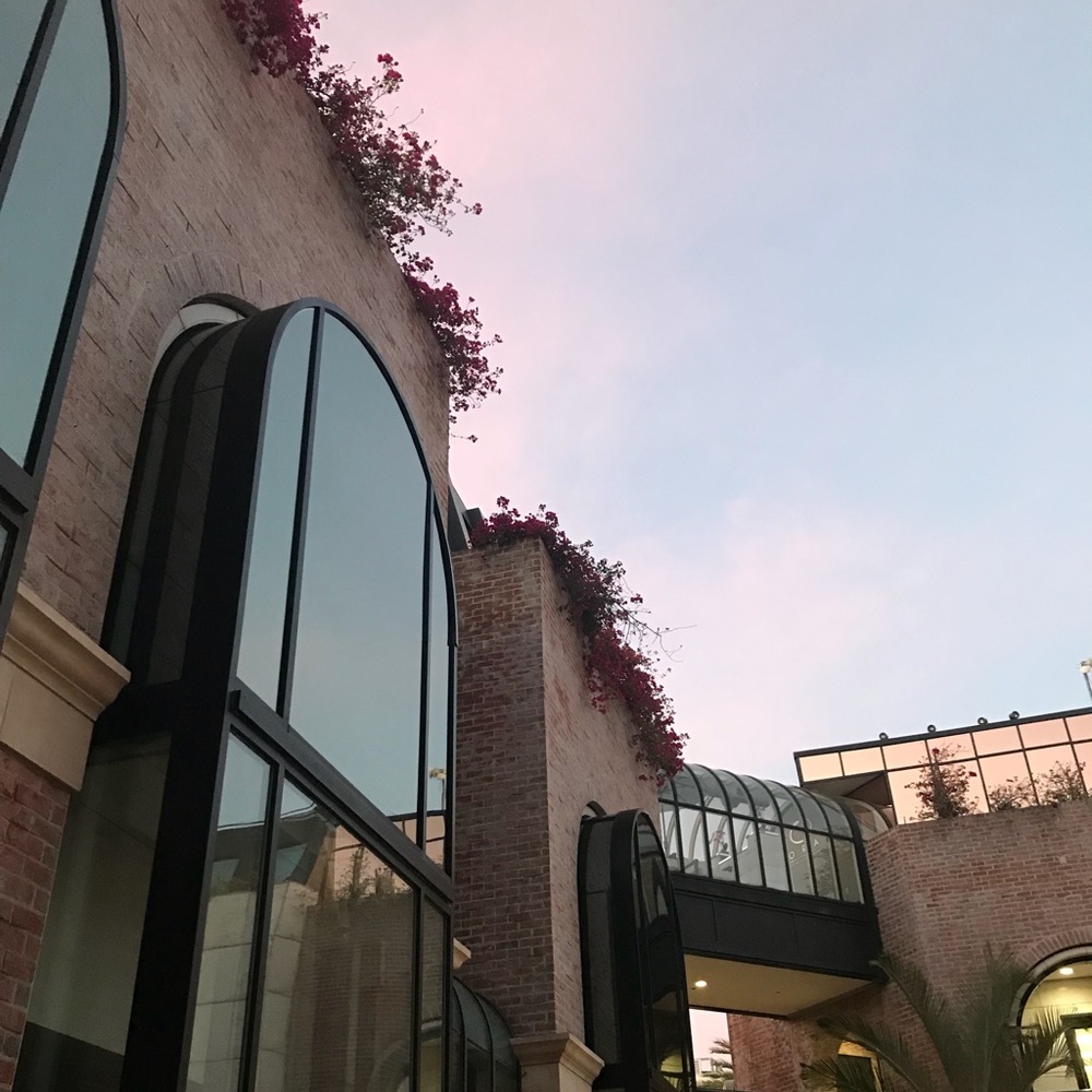 Meet your Posher, Cory